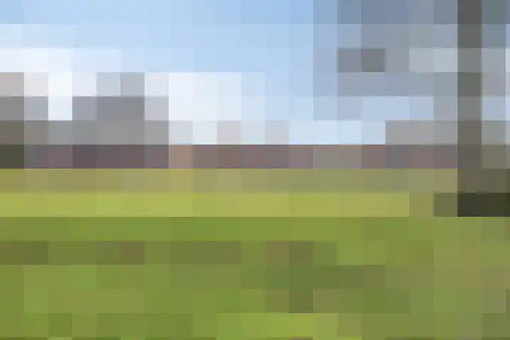 Dokter Kanterslaan 3 Grave thumbnail 46