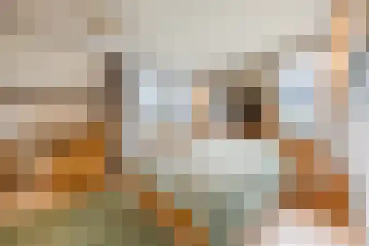Dokter Kanterslaan 328 Grave thumbnail 12