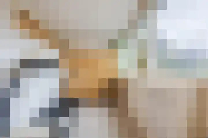Dokter Kanterslaan 328 Grave thumbnail 13
