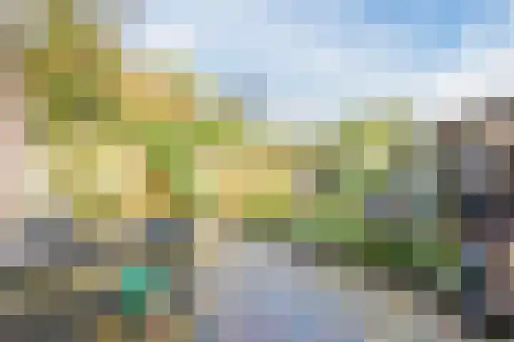 Dokter Kanterslaan 328 Grave thumbnail 21