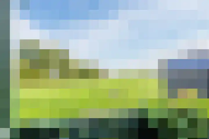 Dokter Kanterslaan 328 Grave thumbnail 23