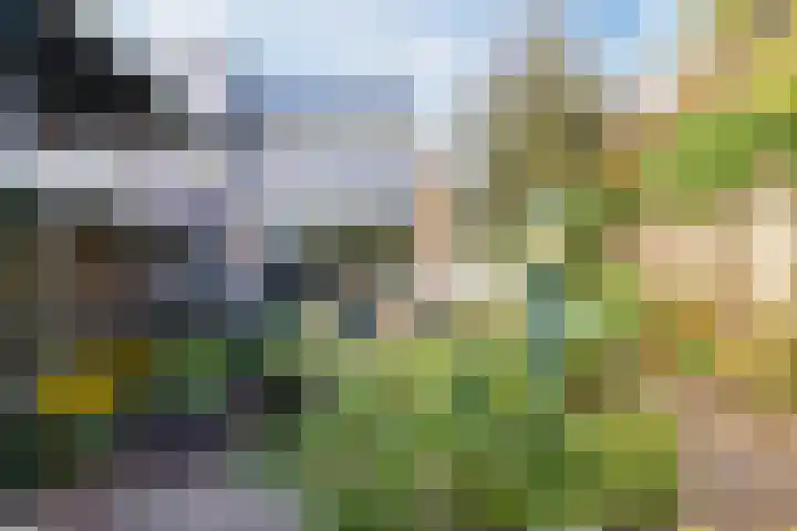 Dokter Kanterslaan 328 Grave thumbnail 24