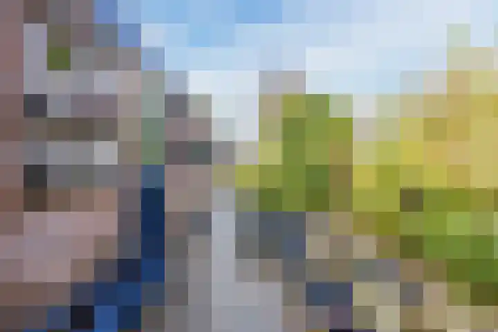 Dokter Kanterslaan 328 Grave thumbnail 25