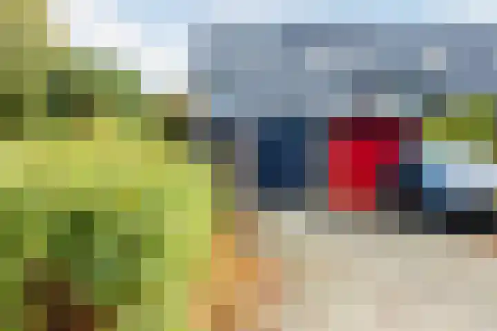 Dokter Kanterslaan 328 Grave thumbnail 26