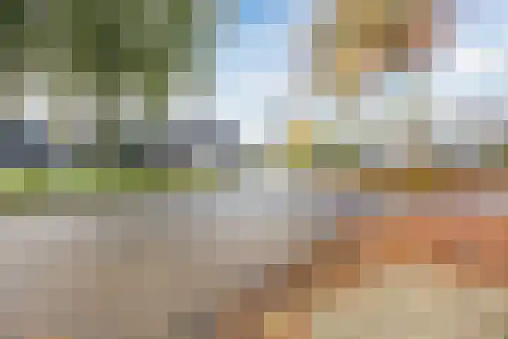 Dokter Kanterslaan 328 Grave thumbnail 27