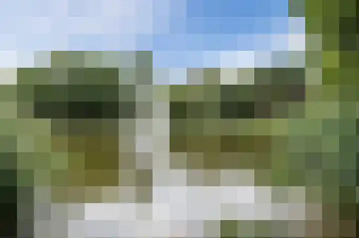 Dokter Kanterslaan 328 Grave thumbnail 28