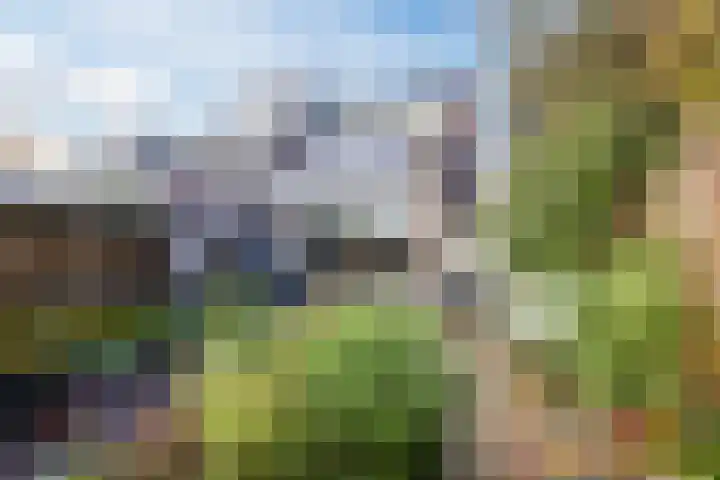 Dokter Kanterslaan 328 Grave foto 3