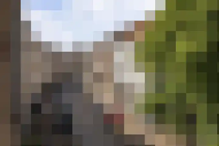 Dokter Kanterslaan 328 Grave thumbnail 35