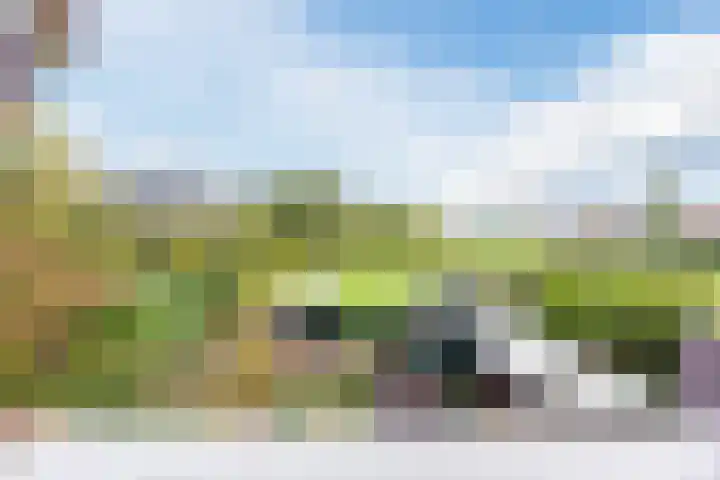 Dokter Kanterslaan 328 Grave thumbnail 4