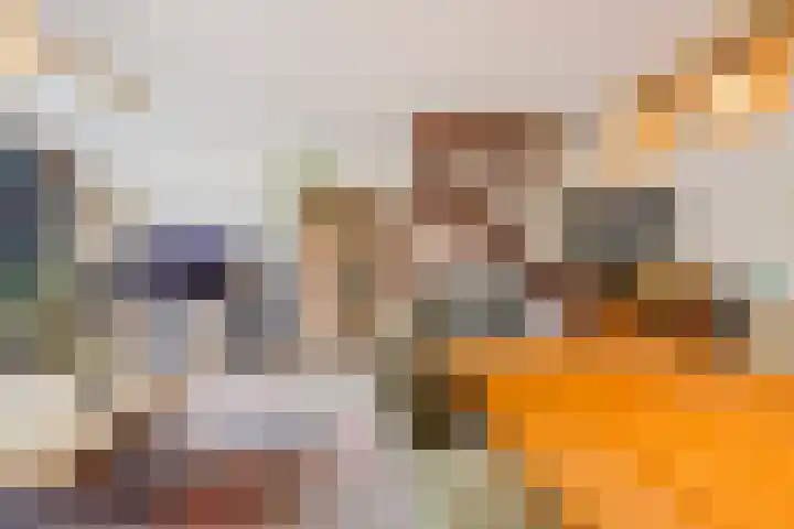 Dokter Kanterslaan 328 Grave thumbnail 9