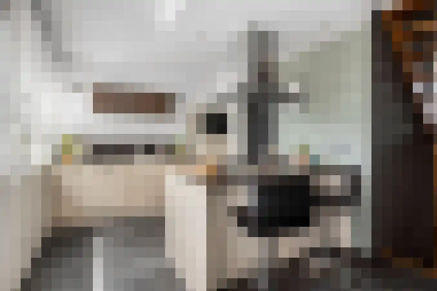 Dokter Kanterslaan 34 Grave foto 2