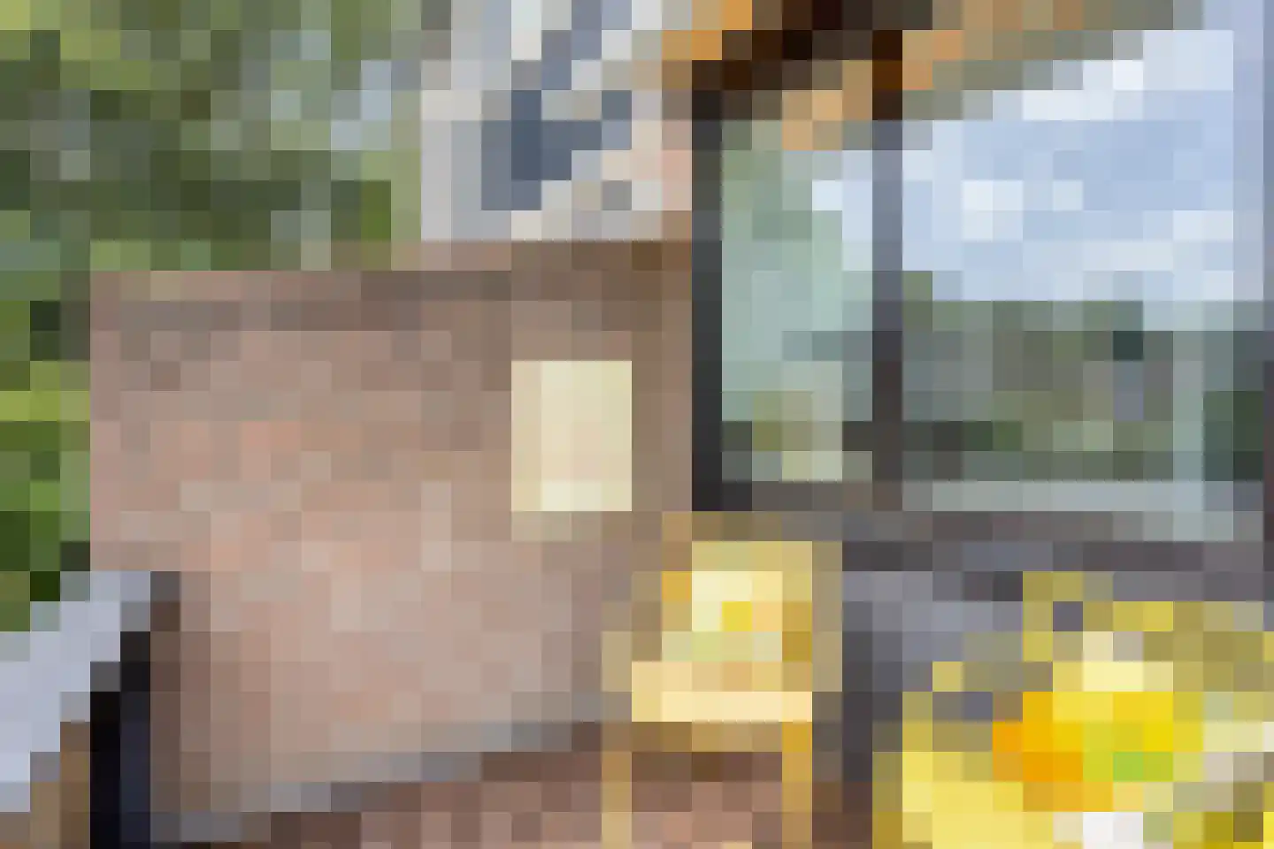Dokter Kanterslaan 34 Grave thumbnail 31