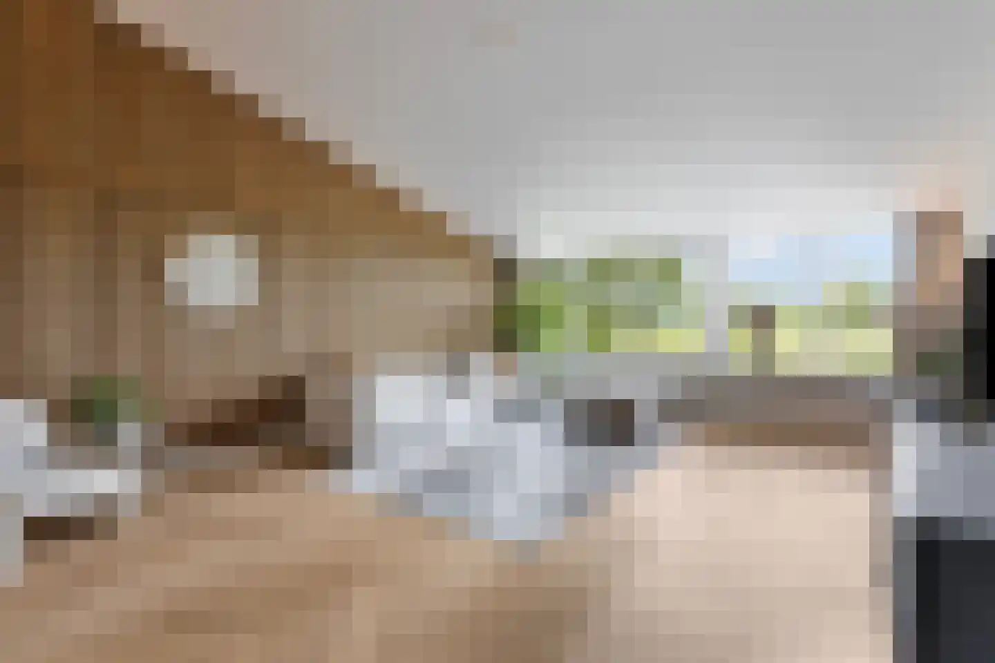 Dokter Kanterslaan 34 Grave thumbnail 32