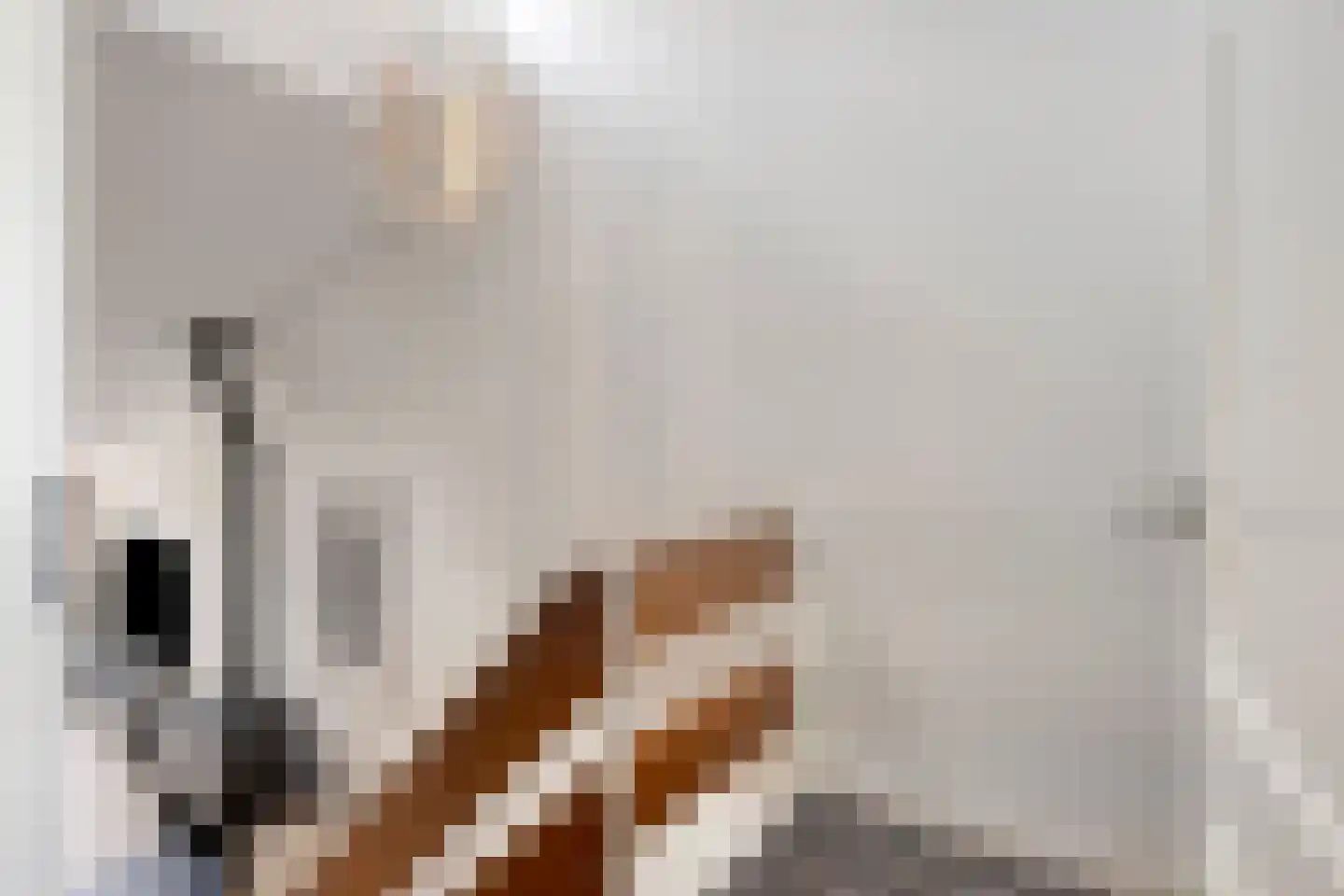 Dokter Kanterslaan 34 Grave thumbnail 37