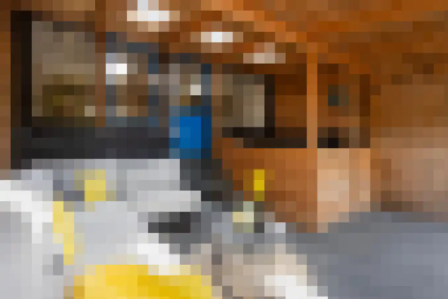 Dokter Kanterslaan 34 Grave thumbnail 45