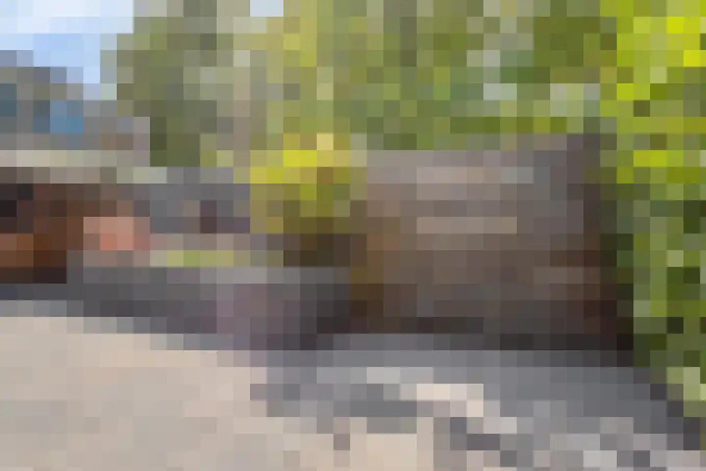 Dokter Kanterslaan 34 Grave thumbnail 49