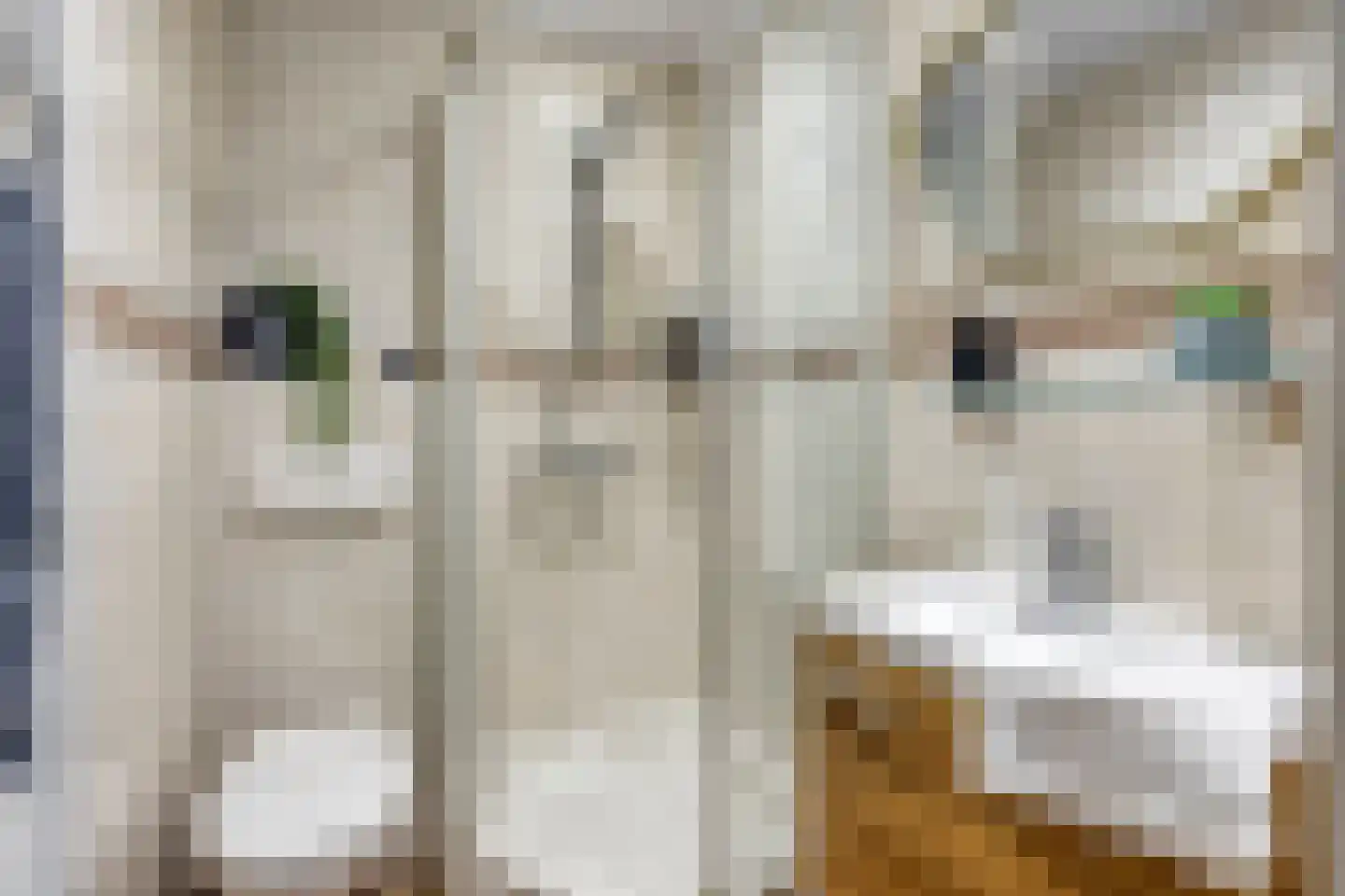 Dokter Kanterslaan 34 Grave thumbnail 5