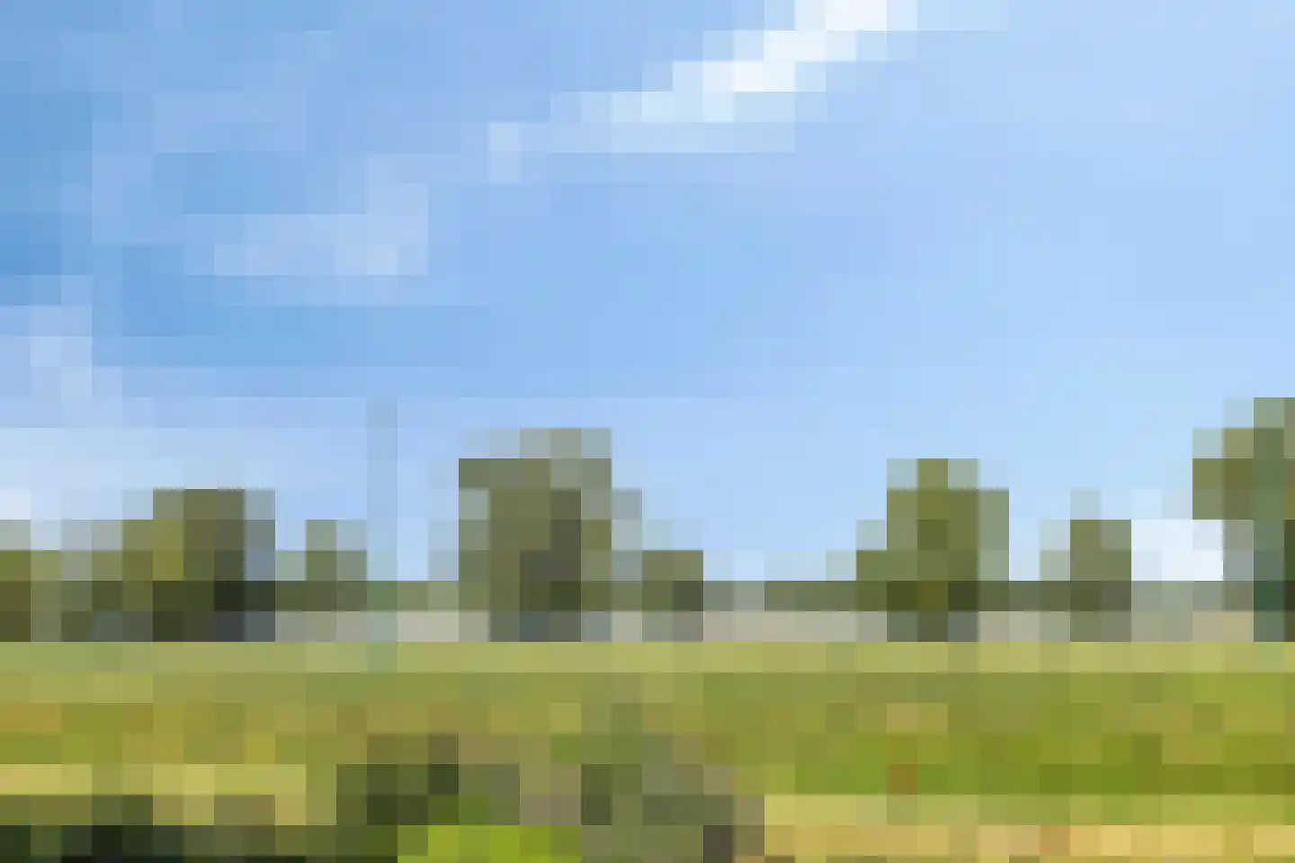 Dokter Kanterslaan 34 Grave thumbnail 51