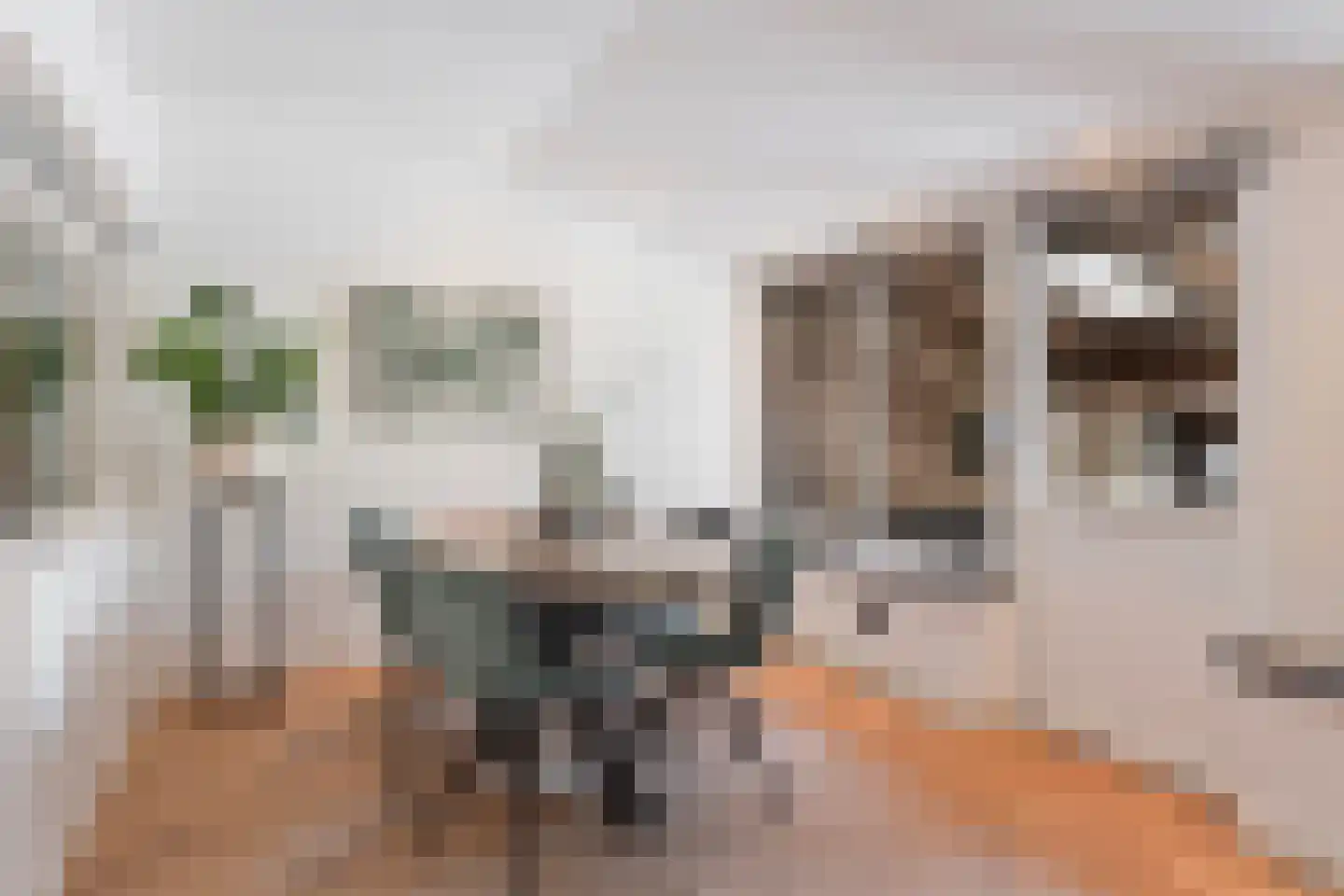 Dokter Kanterslaan 34 Grave thumbnail 7