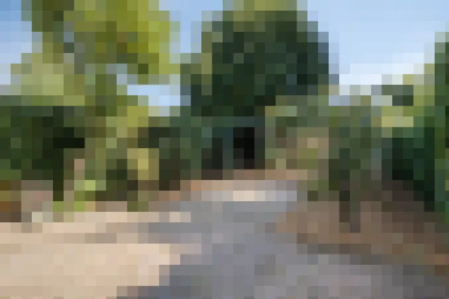 Dokter Kanterslaan 78 Grave thumbnail 25