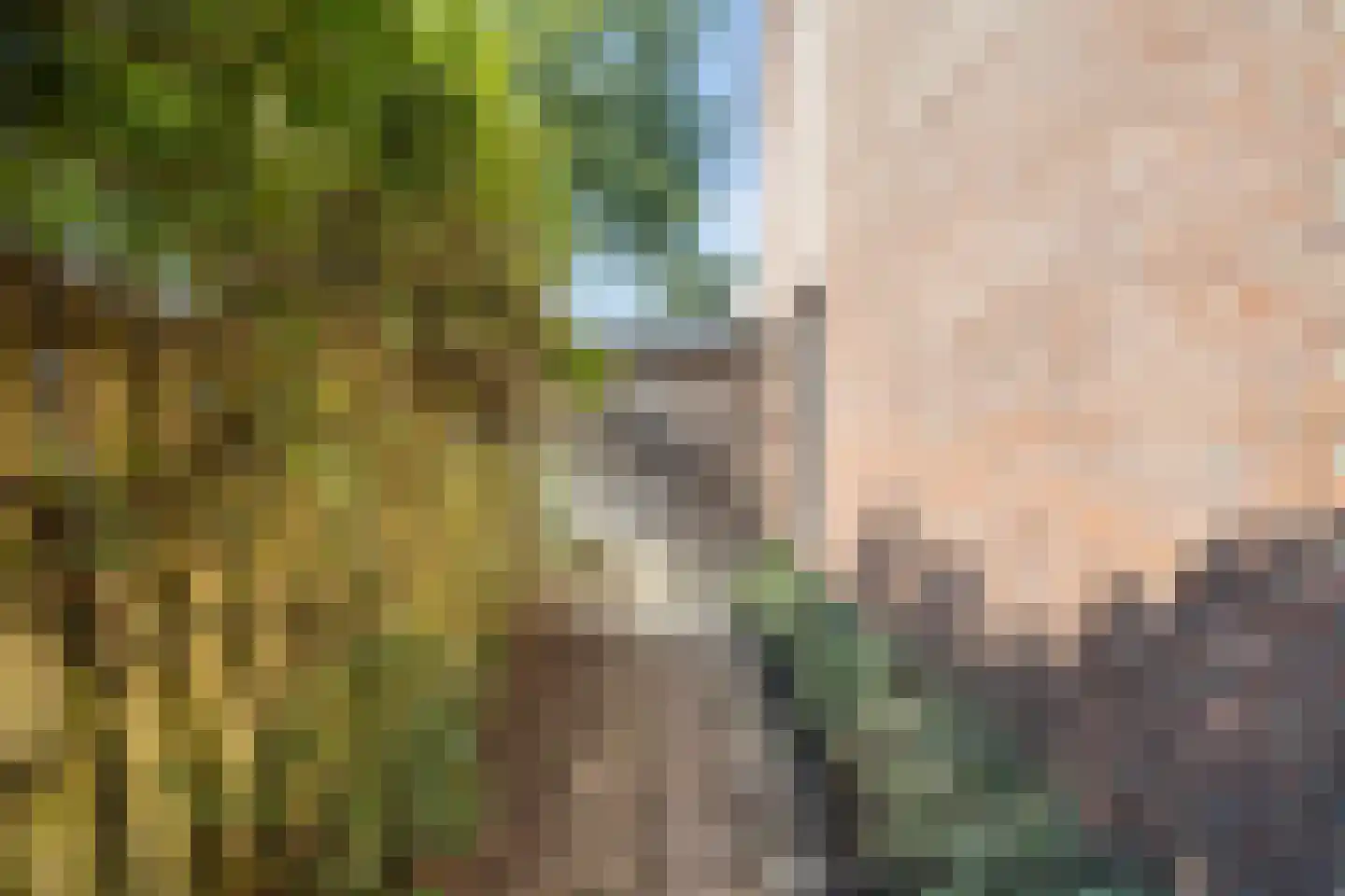 Dokter Kanterslaan 78 Grave thumbnail 26