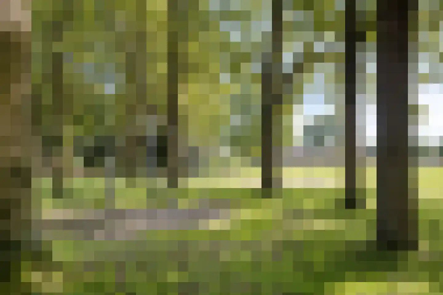Dokter Kanterslaan 78 Grave thumbnail 30