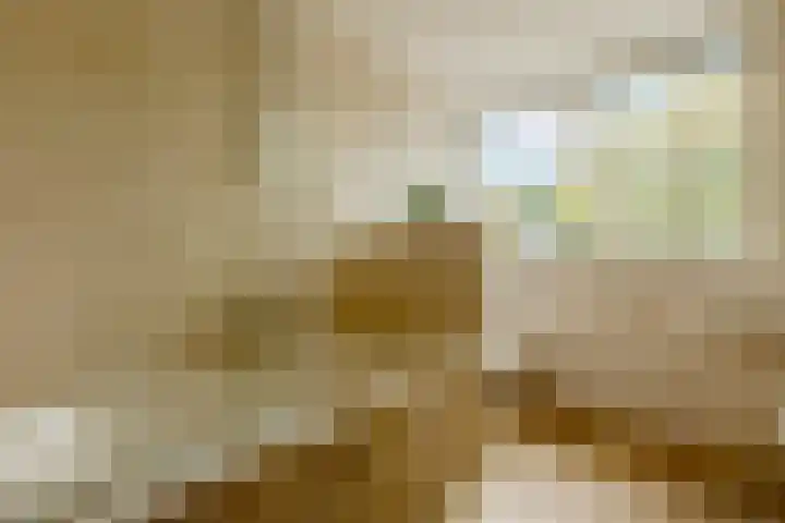 Dokter Kanterslaan 89 Grave thumbnail 14