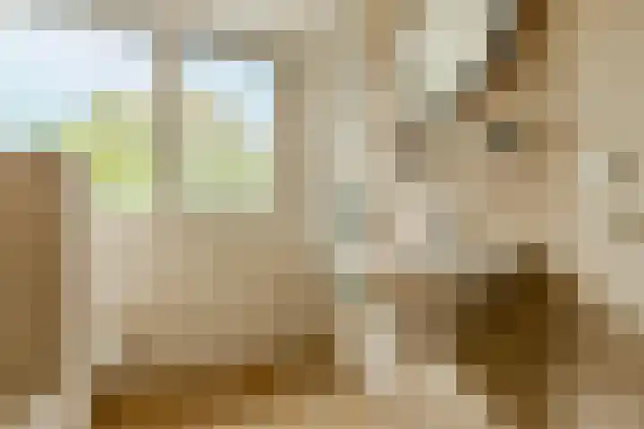 Dokter Kanterslaan 89 Grave thumbnail 15