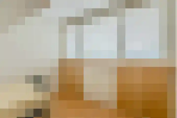 Dokter Kanterslaan 89 Grave thumbnail 18