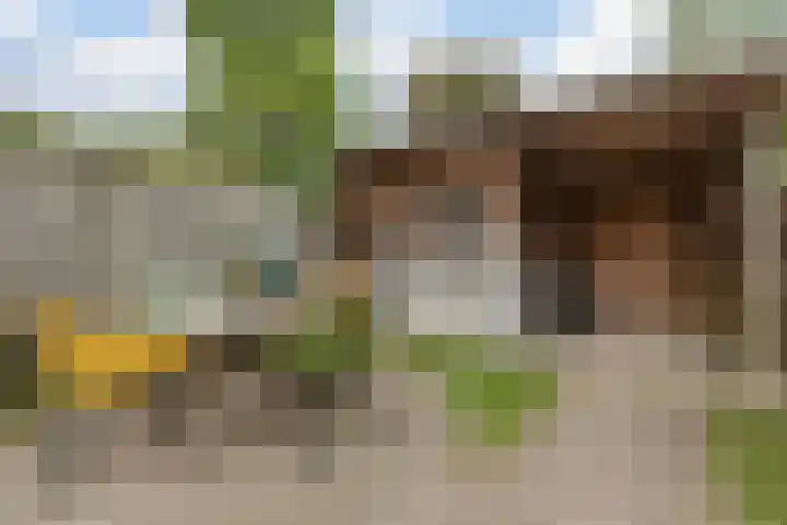 Dokter Kanterslaan 89 Grave thumbnail 20
