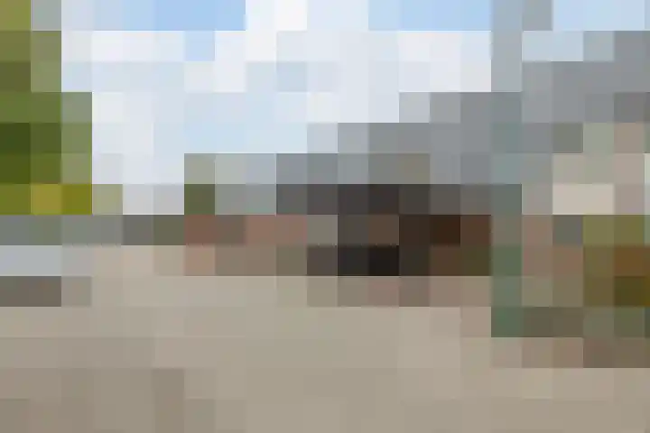 Dokter Kanterslaan 89 Grave thumbnail 21