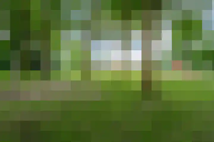 Dokter Kanterslaan 89 Grave thumbnail 22