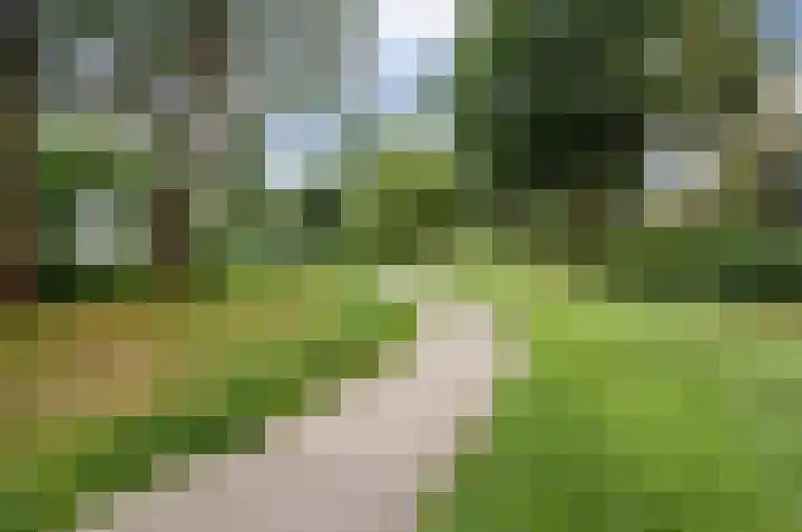 Dokter Kanterslaan 89 Grave thumbnail 23