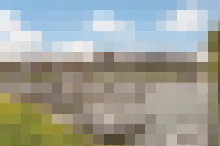 Dokter Kanterslaan 89 Grave thumbnail 28