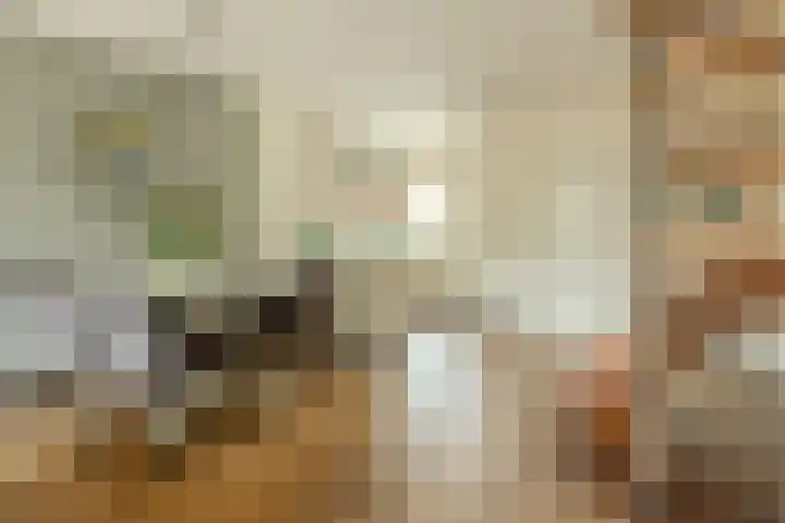 Dokter Kanterslaan 89 Grave foto 3