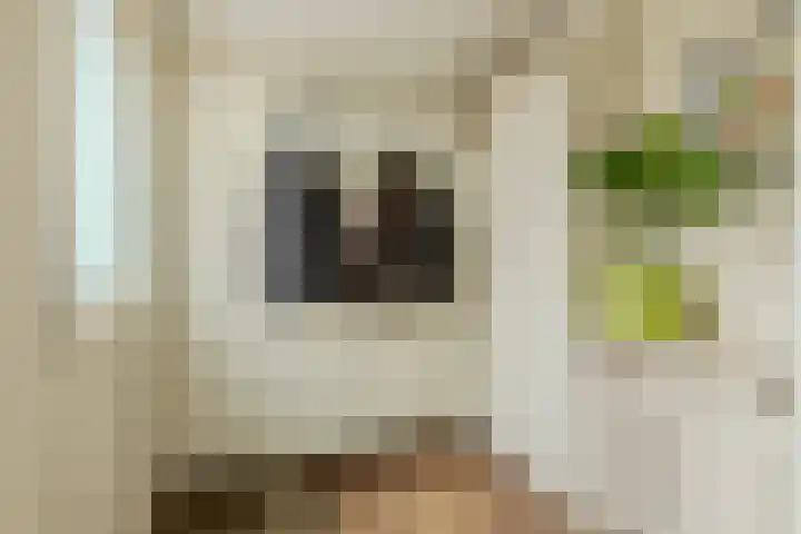 Dokter Kanterslaan 89 Grave thumbnail 5