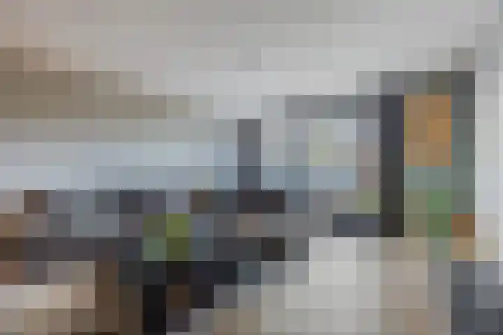 Dokter Kanterslaan 9 Grave thumbnail 10