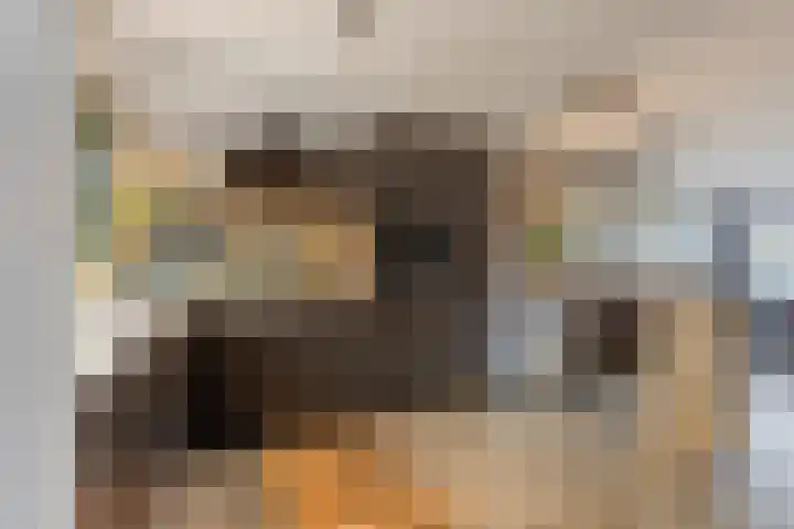 Dokter Kanterslaan 9 Grave thumbnail 14