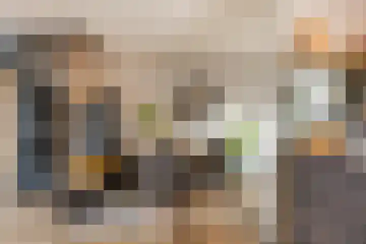 Dokter Kanterslaan 9 Grave thumbnail 15