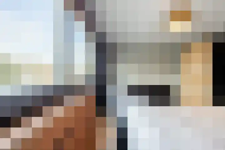 Dokter Kanterslaan 9 Grave thumbnail 18