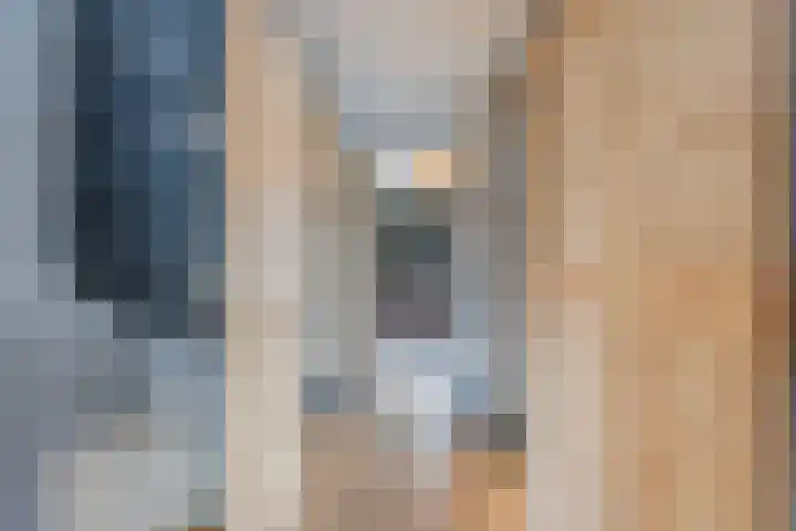 Dokter Kanterslaan 9 Grave thumbnail 26