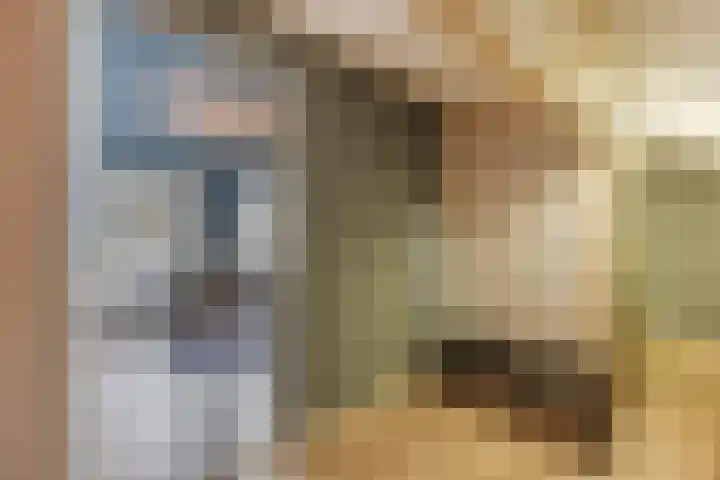 Dokter Kanterslaan 9 Grave thumbnail 29