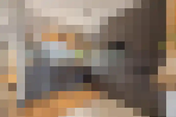 Dokter Kanterslaan 9 Grave foto 3
