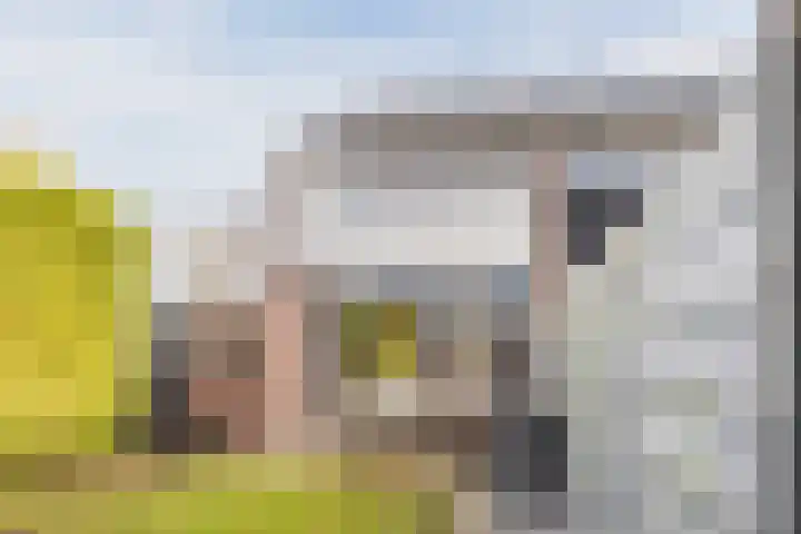 Dokter Kanterslaan 9 Grave thumbnail 33