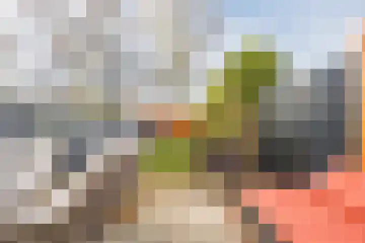 Dokter Kanterslaan 9 Grave thumbnail 34