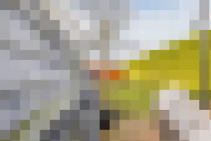 Dokter Kanterslaan 9 Grave thumbnail 35
