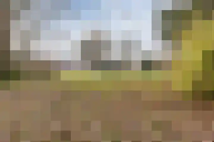 Dokter Kanterslaan 9 Grave thumbnail 38