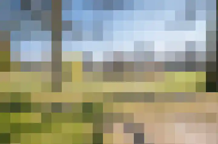 Dokter Kanterslaan 9 Grave thumbnail 39