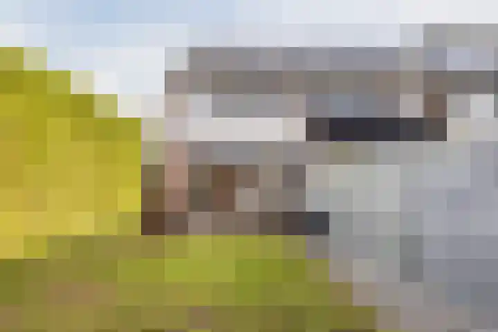 Dokter Kanterslaan 9 Grave thumbnail 4