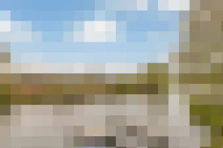 Dokter Kanterslaan 9 Grave thumbnail 42